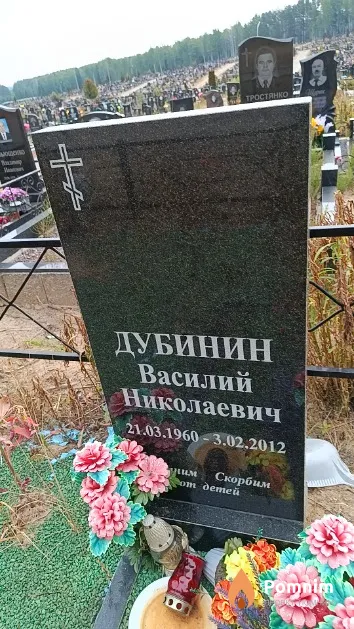 Дубинин Василий Николаевич