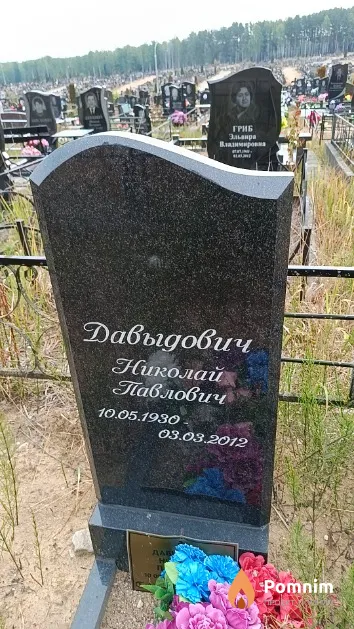 Давыдович Николай Павлович