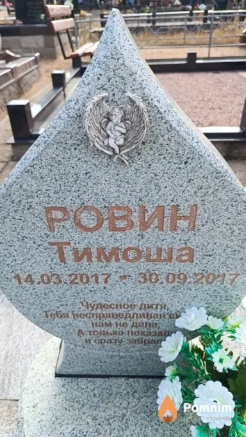 Ровин Тимофей