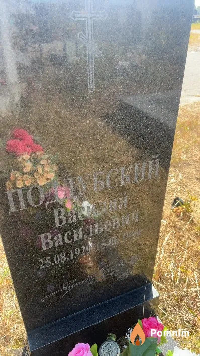 Поддубский Василий Васильевич