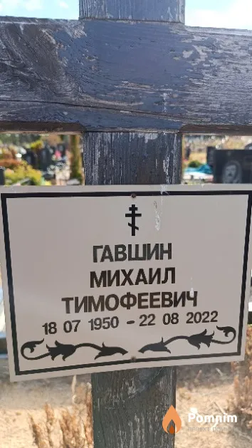 Гавшин Михаил Тимофеевич