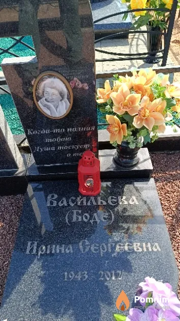 Васильева (Боде) Ирина Сергеевна