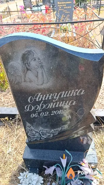 Доронина Анна