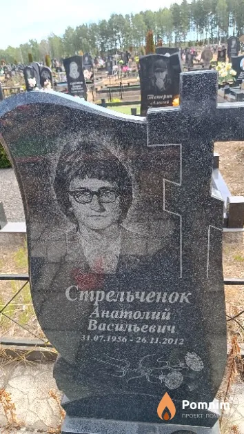 Стрельченок Анатолий Васильевич