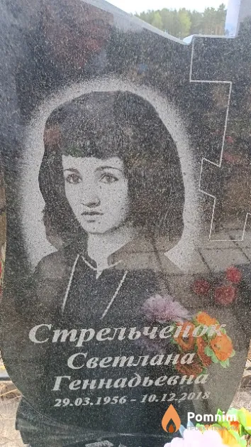 Стрельченок Светлана Геннадьевна
