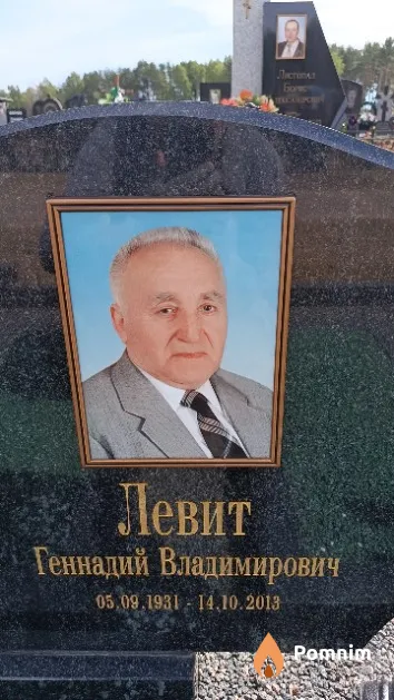 Левит Геннадий Владимирович