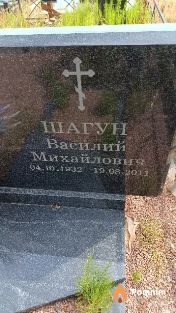 Шагун Василий Михайлович