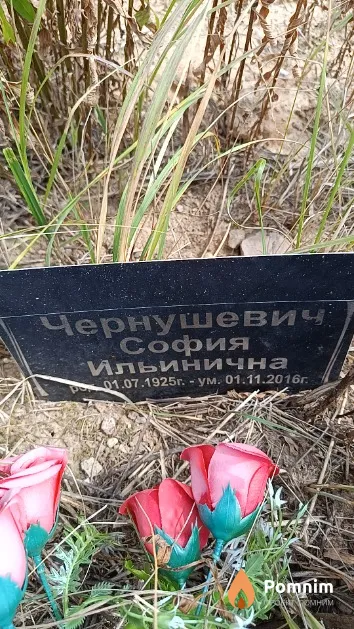 Чернушевич София Ильинична