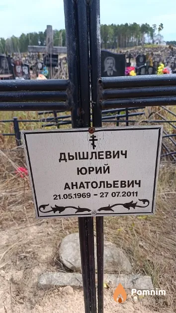 Дышлевич Юрий Анатольевич