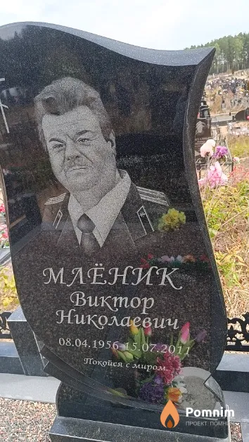 Млёник Виктор Николаевич