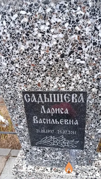 Садышева Лариса Васильевна