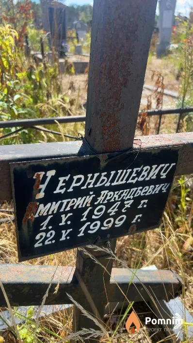 Чернышевич Дмитрий Аркадьевич