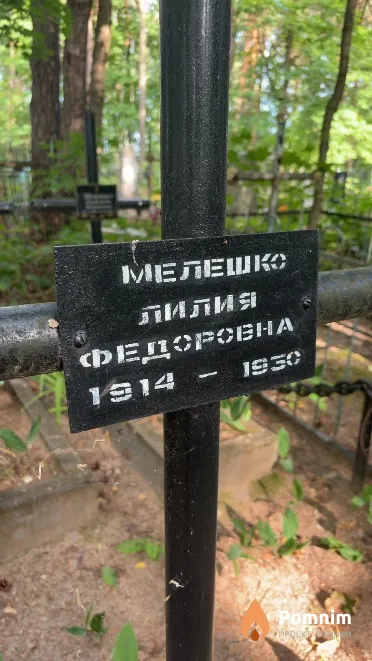 Meлeшко Лилия Федоровна