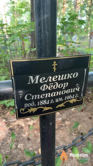 Мелешко Фёдор Степанович