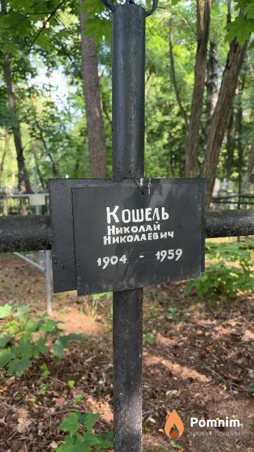Кошель Николай Николаевич