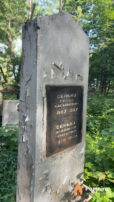 Сенько Владимир Семенович