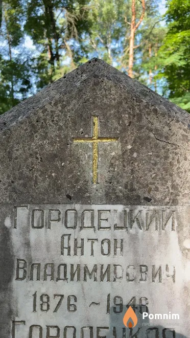 Городецкий Антон Владимирович
