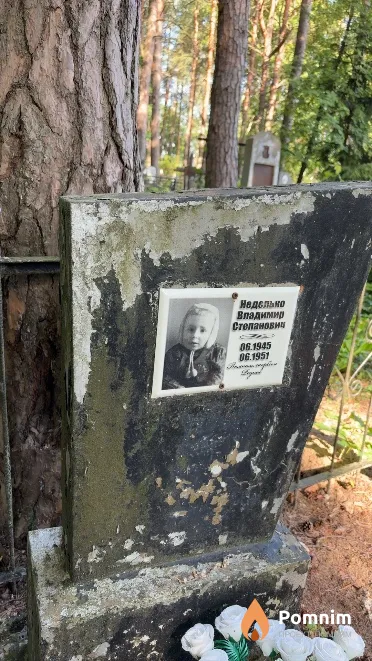 Неделько Владимир Степанович