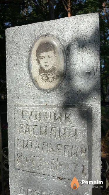 Гудник Василий Витальевич