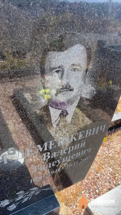 Демешкевич Валерий Тадеушевич