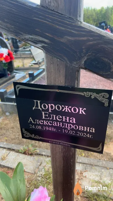 Дорожок Елена Александровна