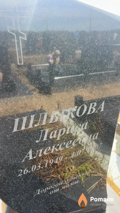 Шлыкова Лариса Алексеевна