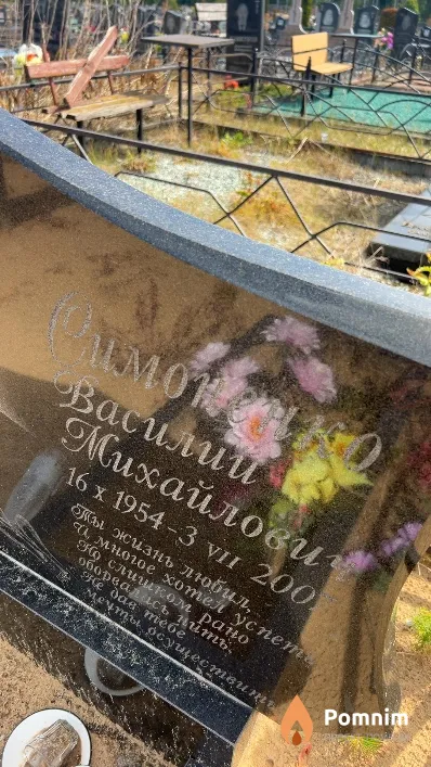 Симоненко Василий Михайлович