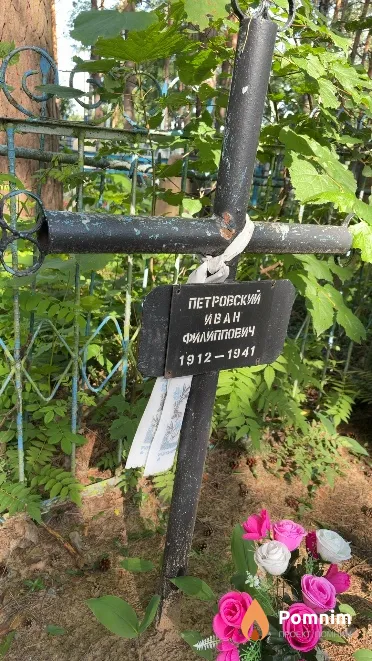 Петровский Иван Филиппович