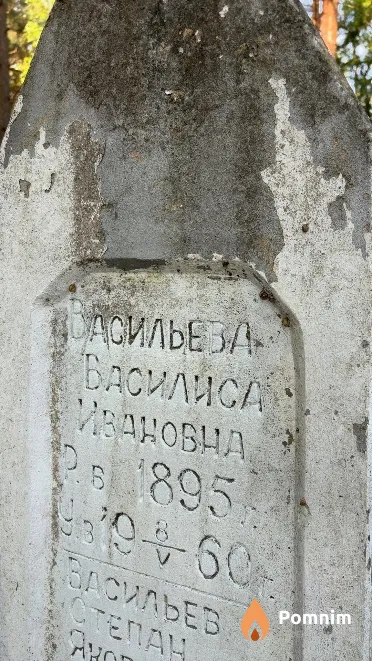 Васильева Василиса Ивановна