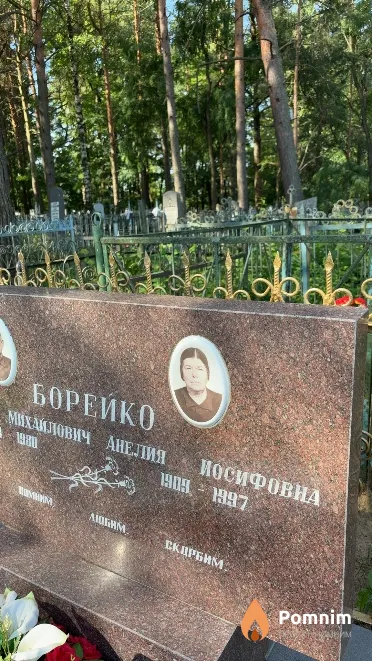Борейко Анелия Иосифовна