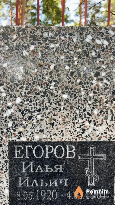 Егоров Илья Ильич