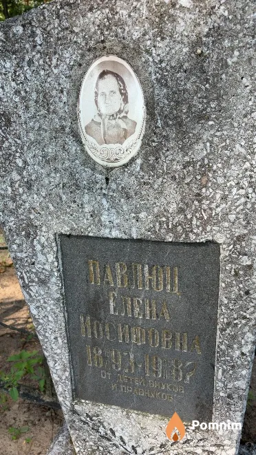 Павлюц Елена Иосифовна