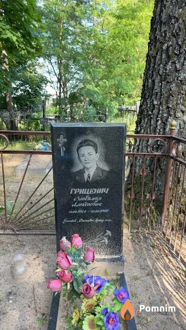 Гриценич Владимир Алексеевич