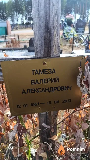 Гамеза Валерий Александрович