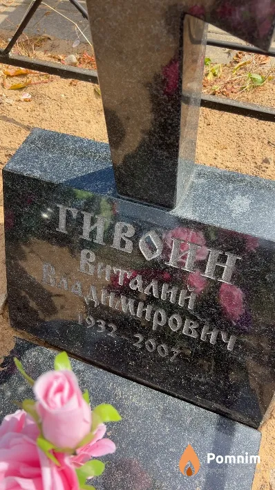 Гивоин Виталий Владимирович