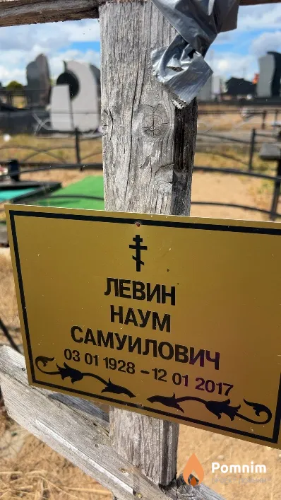 Левин Наум Самуилович
