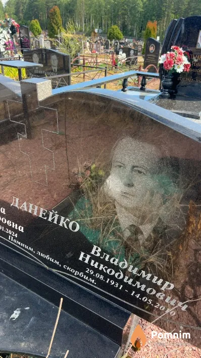 Данейко Владимир Никодимович