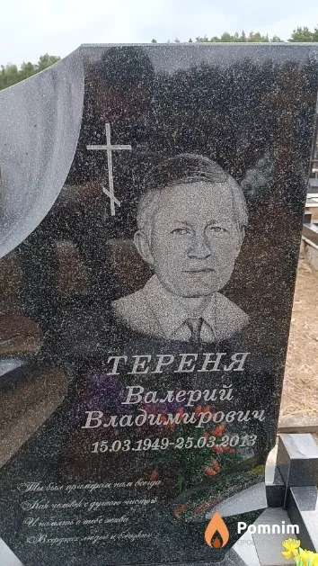 Тереня Валерий Владимирович