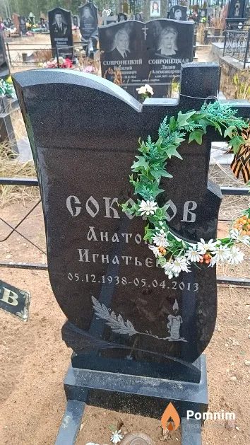 Соколов Анатолий Игнатьевич