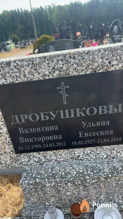Дробушкова Валентина Викторовна