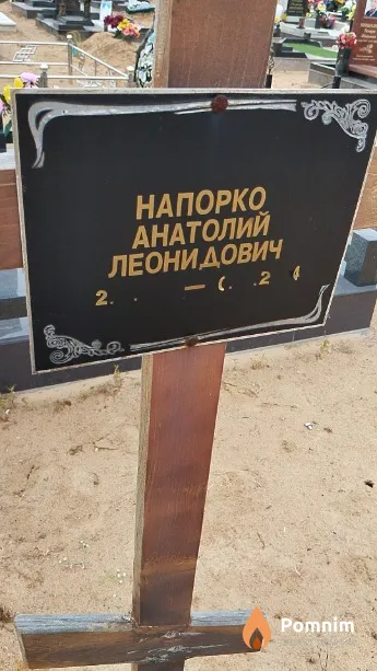 Напорко Анатолий Леонидович
