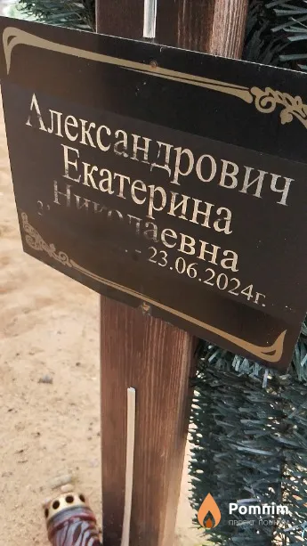 Александрович Екатерина Николаевна