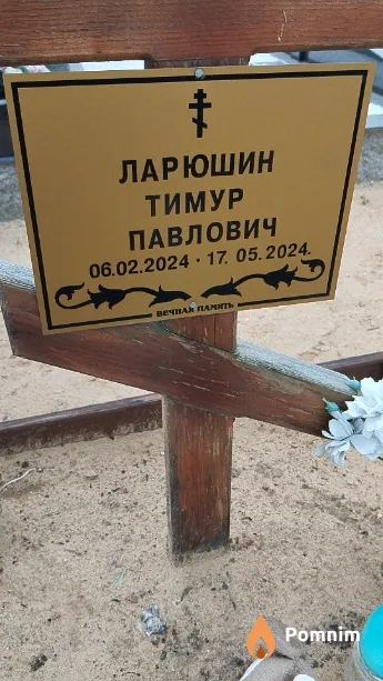 Ларюшин Тимур Павлович