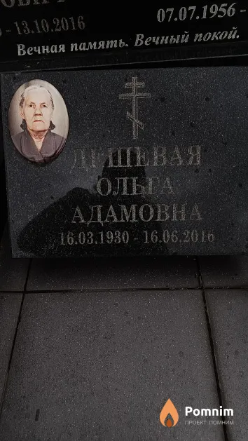 Дешевая Ольга Адамовна