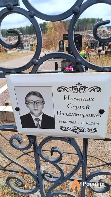 Ильиных Сергей Владимирович