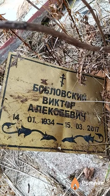 Бобловский Виктор Алексеевич