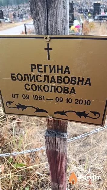 Соколова Регина Болиславовна