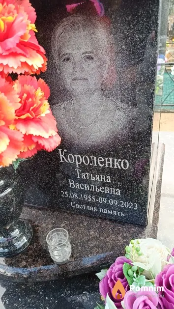 Короленко Татьяна Васильевна