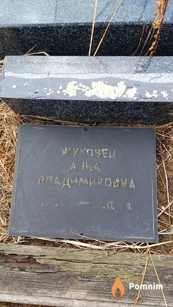 Жуковец Анна Владимировна
