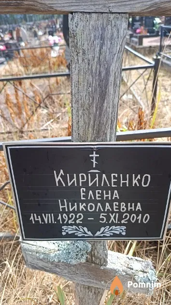 Кириленко Елена Николаевна